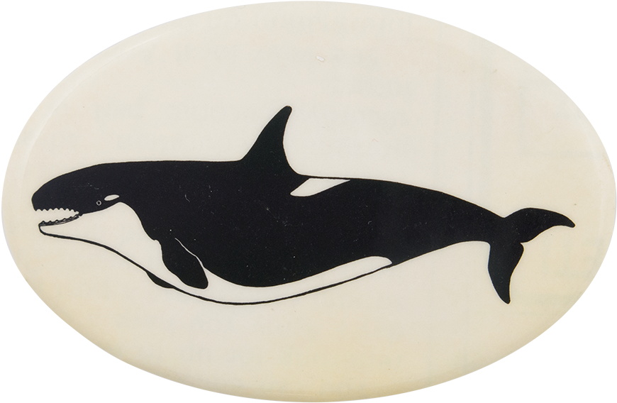 Orca Silhouette Artwork