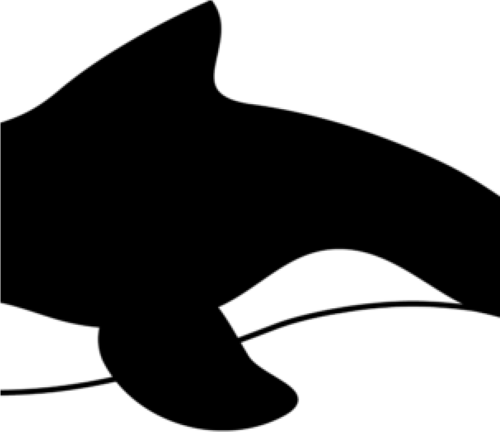 Orca Whale Clip Art Orca Whale Clipart All Clip Art - Whale Clipart Png Black And White, Transparent Png PNG with transparent background