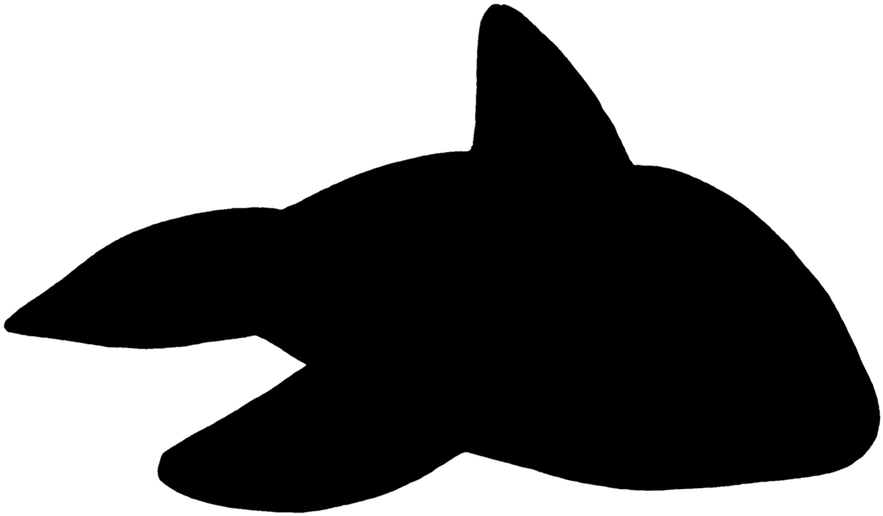 Wal, Killer, Orca, Marine Mammals, Float, Toys - Whales, HD Png Download PNG image with a transparent background, free high-resolution download
