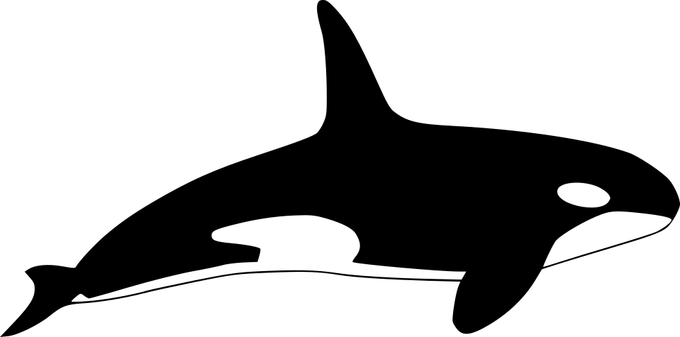 Orca - Killer Whale Icon, HD Png Download PNG with transparent background