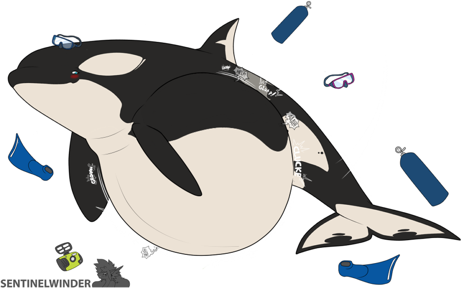 Orca_with_ Diving_ Equipment_ Illustration