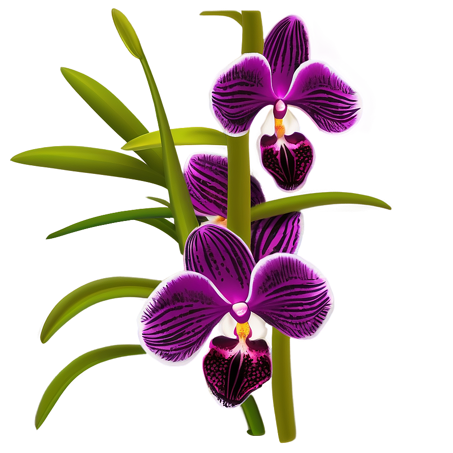 Orchid Bouquet PNG mch PNG with transparent background