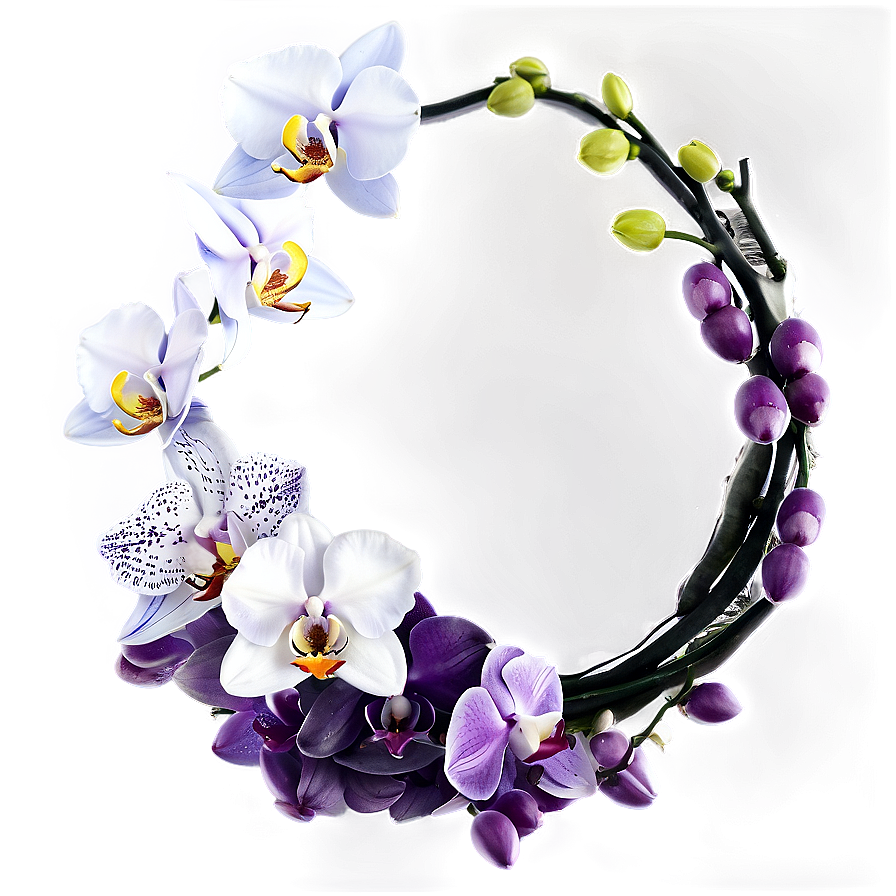 Orchid Flower Circle Png 69