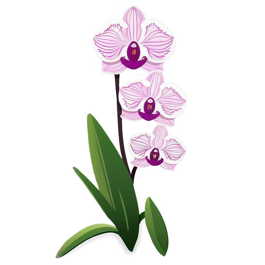 Orchid Flower Cricut Creation Png 06282024