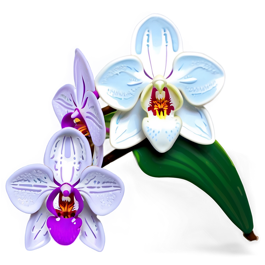 Orchid Flower Cricut Creation Png 9