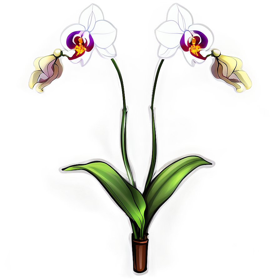 Orchid Flower Sketch Png Yuc44