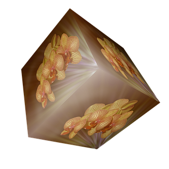 Orchid Illusion Cube PNG with transparent background