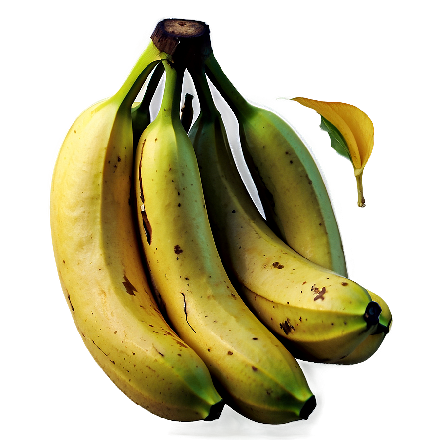 Organic Banana Png Ciw21