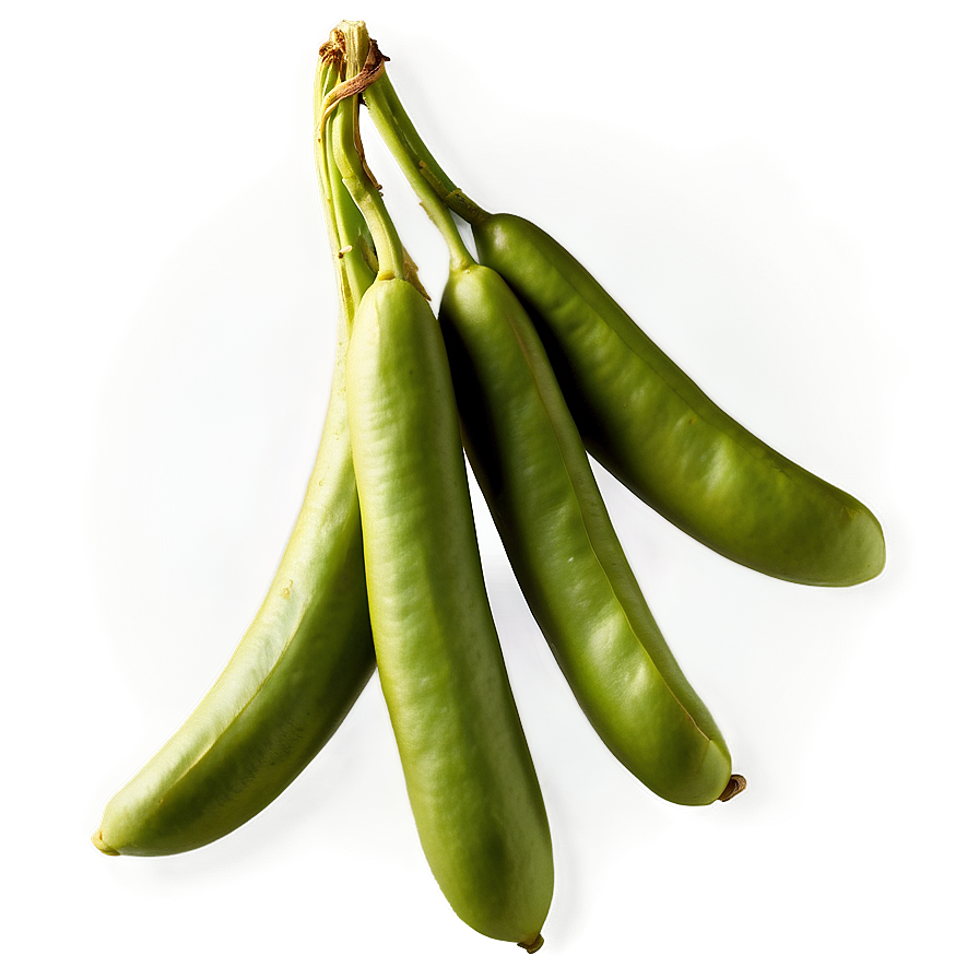 Organic Beans Png 48