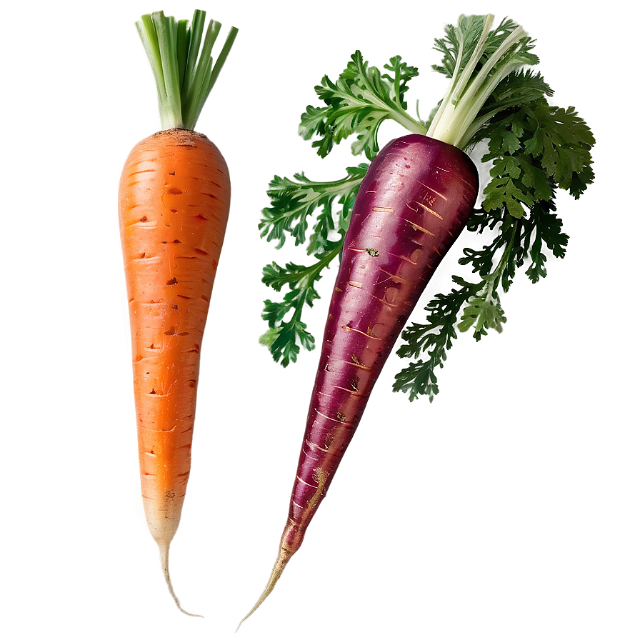 Organic Carrot PNG 15 PNG with transparent background