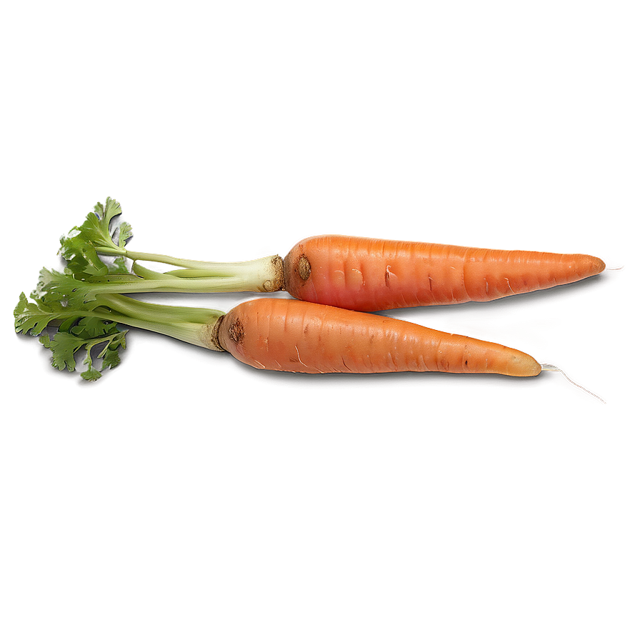 Organic Carrot Png Avd28