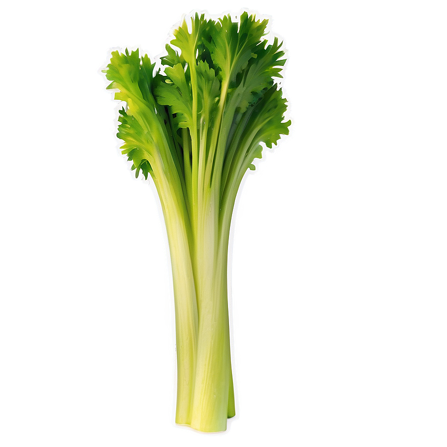 Organic Celery Stick Png 84