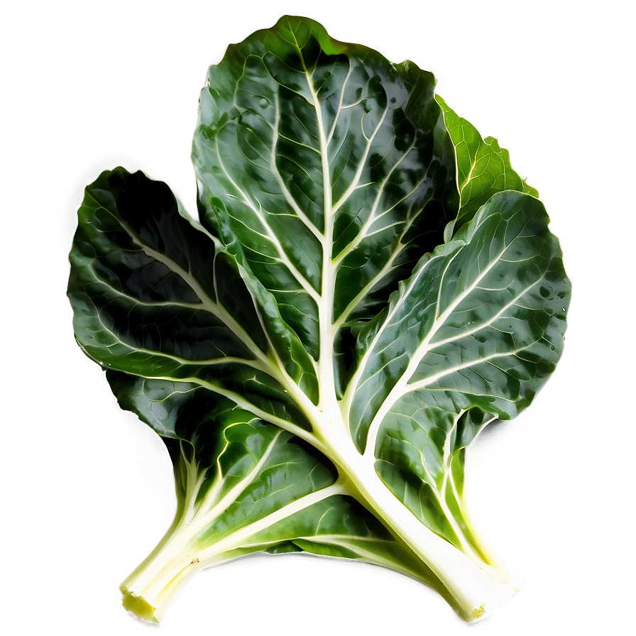 Organic Collard Greens Png 06252024