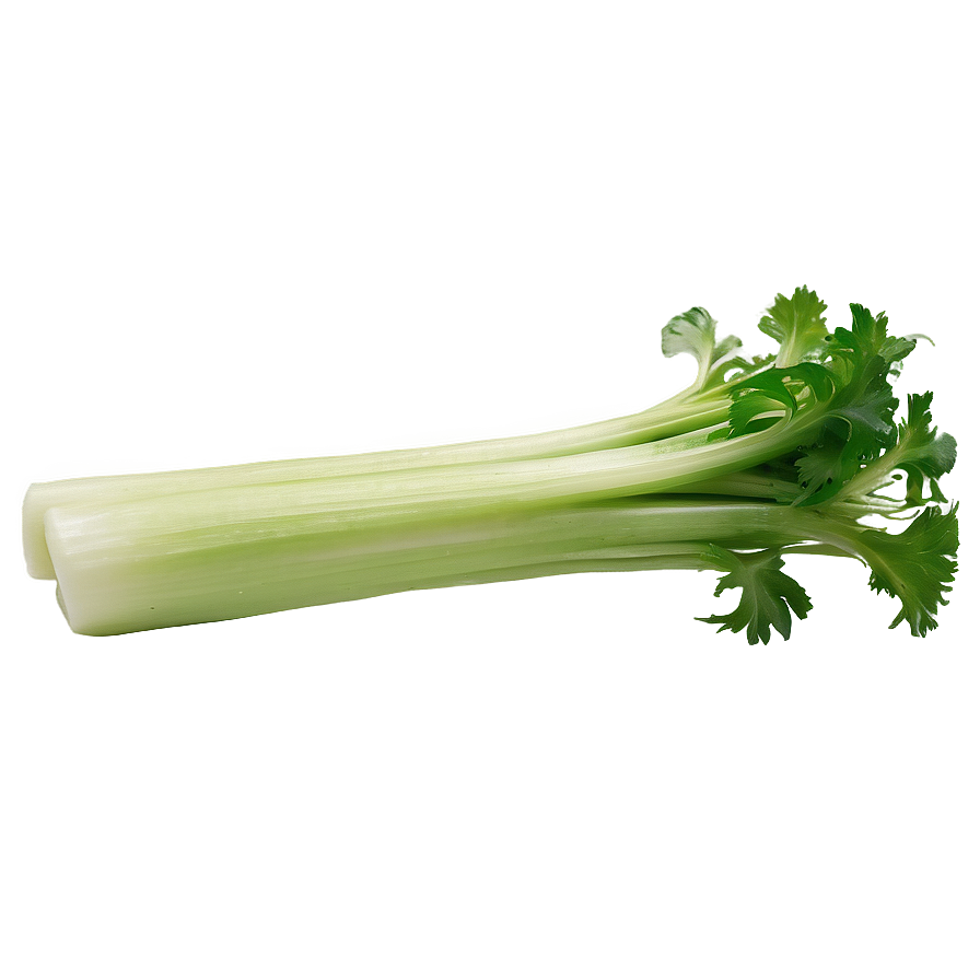 Organic Farm Celery Png 06252024