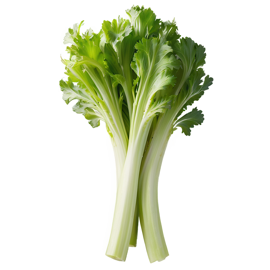 Organic Farm Celery Png Gum