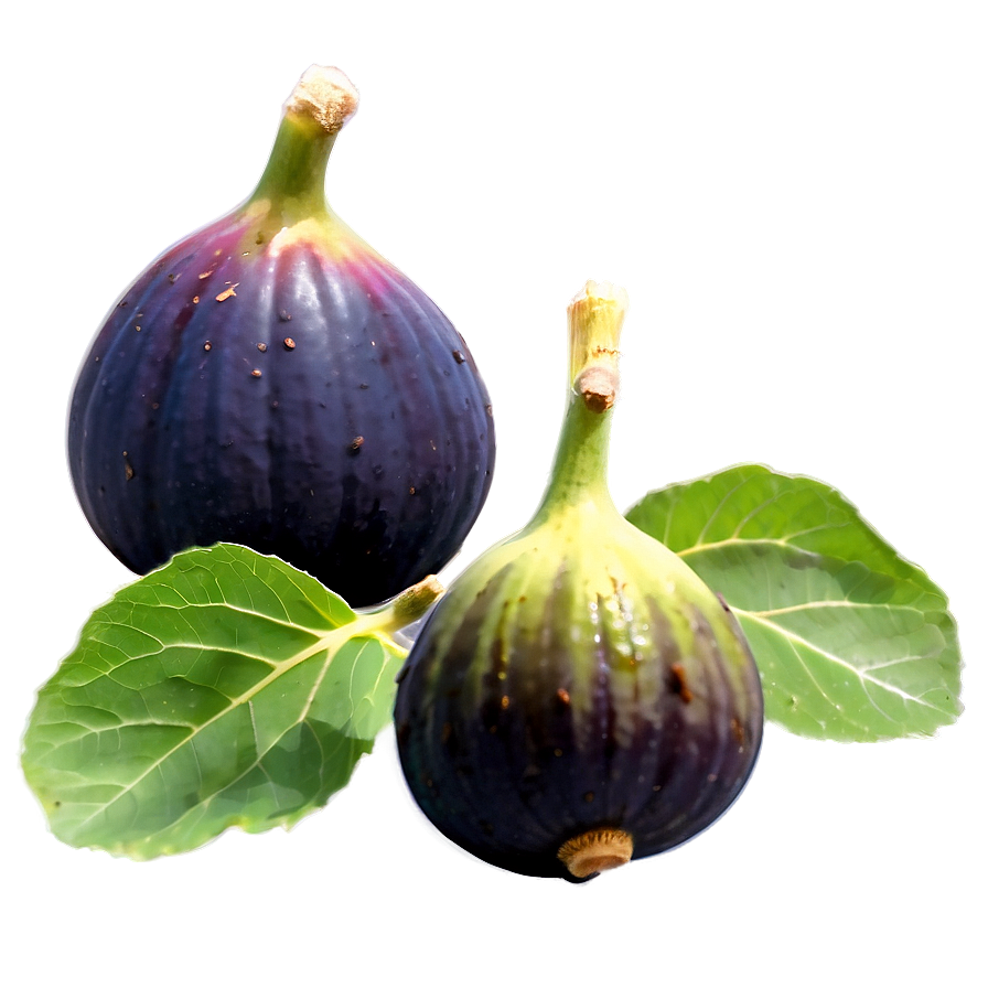 Organic Fig Photo Png Pwb