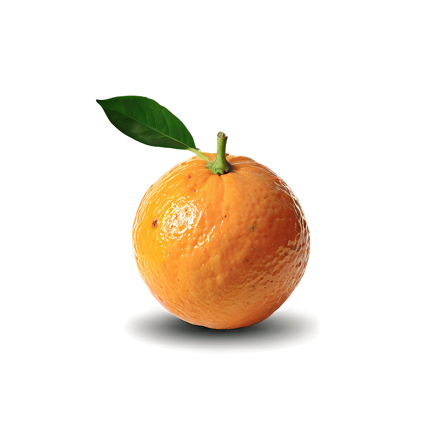 Organic Fresh Orange Png 5