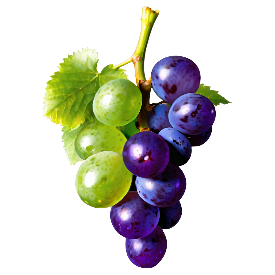 Organic Grape Png 27