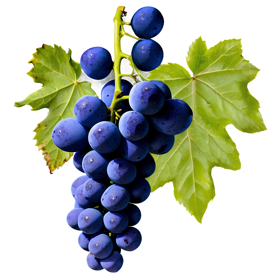 Organic Grapes Png Jut