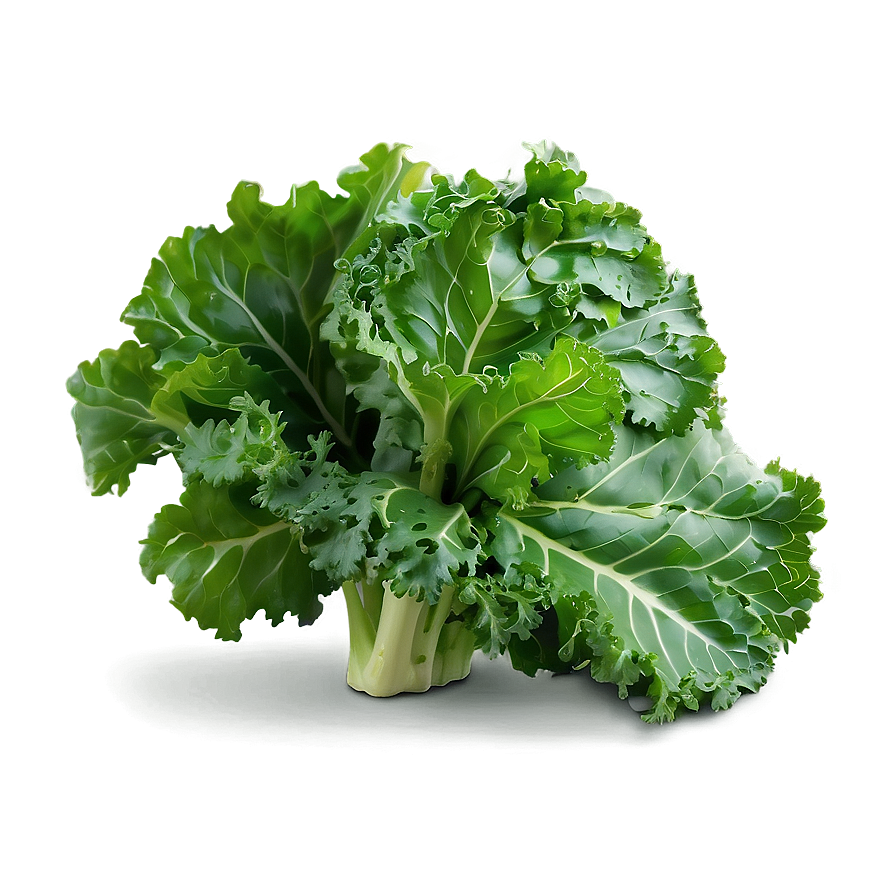 Organic Kale Leaves Bundle PNG ban PNG with transparent background