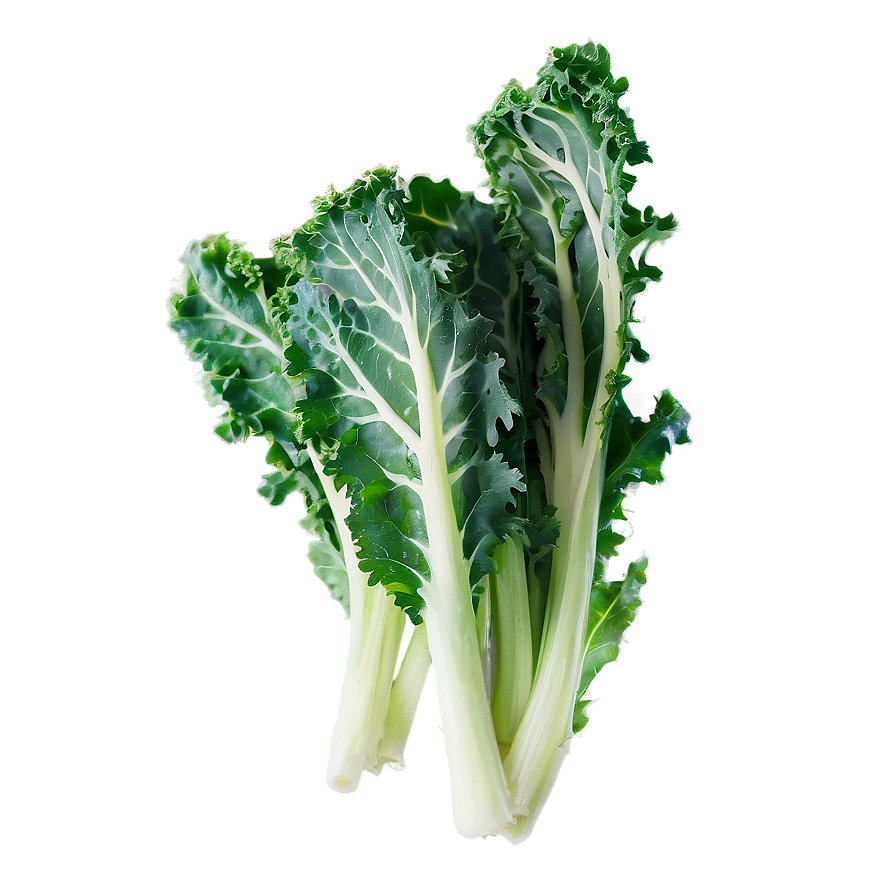 Organic Kale Leaves Bundle PNG eai17 PNG with transparent background