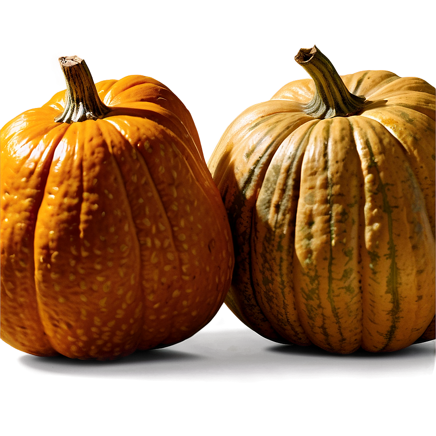 Organic Pumpkin Png 04292024