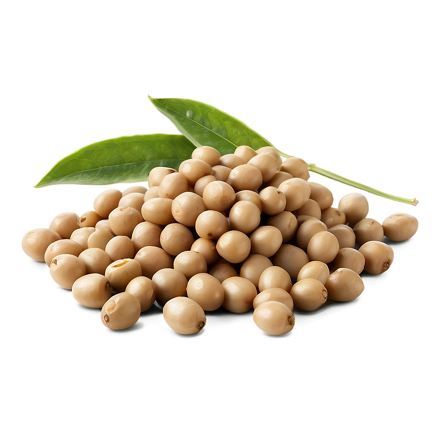 Organic Soybeans Pile Png Pcn