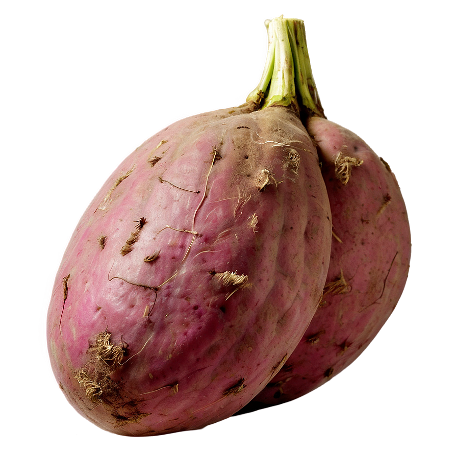 Organic Sweet Potato PNG 42 PNG with transparent background