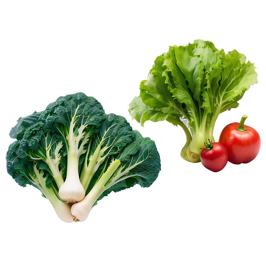 Organic Vegetables Png 05242024