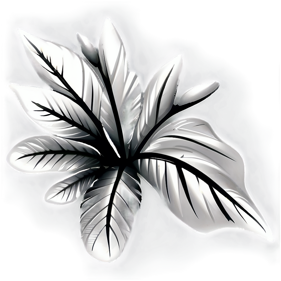 Ornamental Flower Black And White Png Fxj68