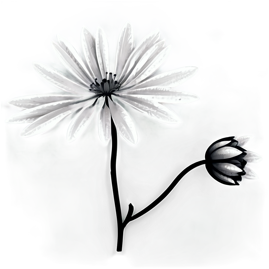 Ornamental Flower Black And White Png Xcc