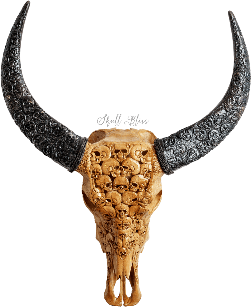 Ornate Goat Skullwith Carved Horns