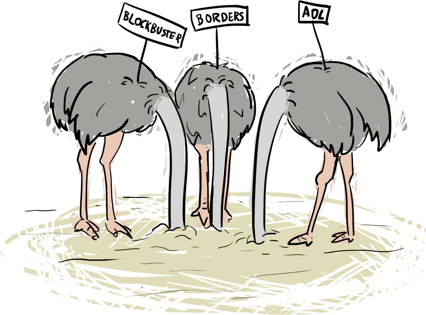 Ostriches Headsin Sand Business Metaphor