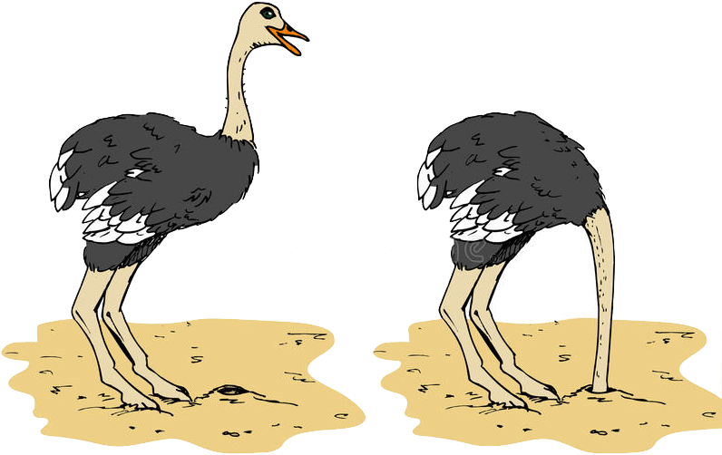 Ostricheson Sand Illustration