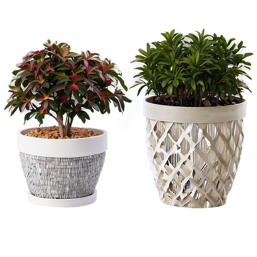 Outdoor Garden Potted Plants PNG nbt PNG image with a transparent background, free high-resolution download