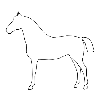Outlineof Standing Horse PNG with transparent background