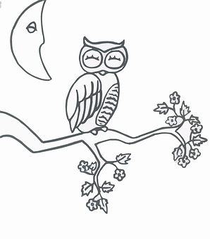 Owlon Branch Line Art PNG with transparent background