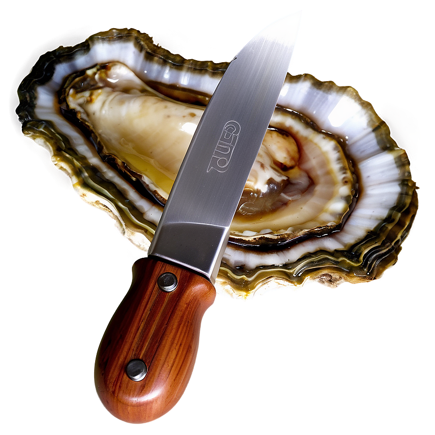 Oyster Knife Png 05042024