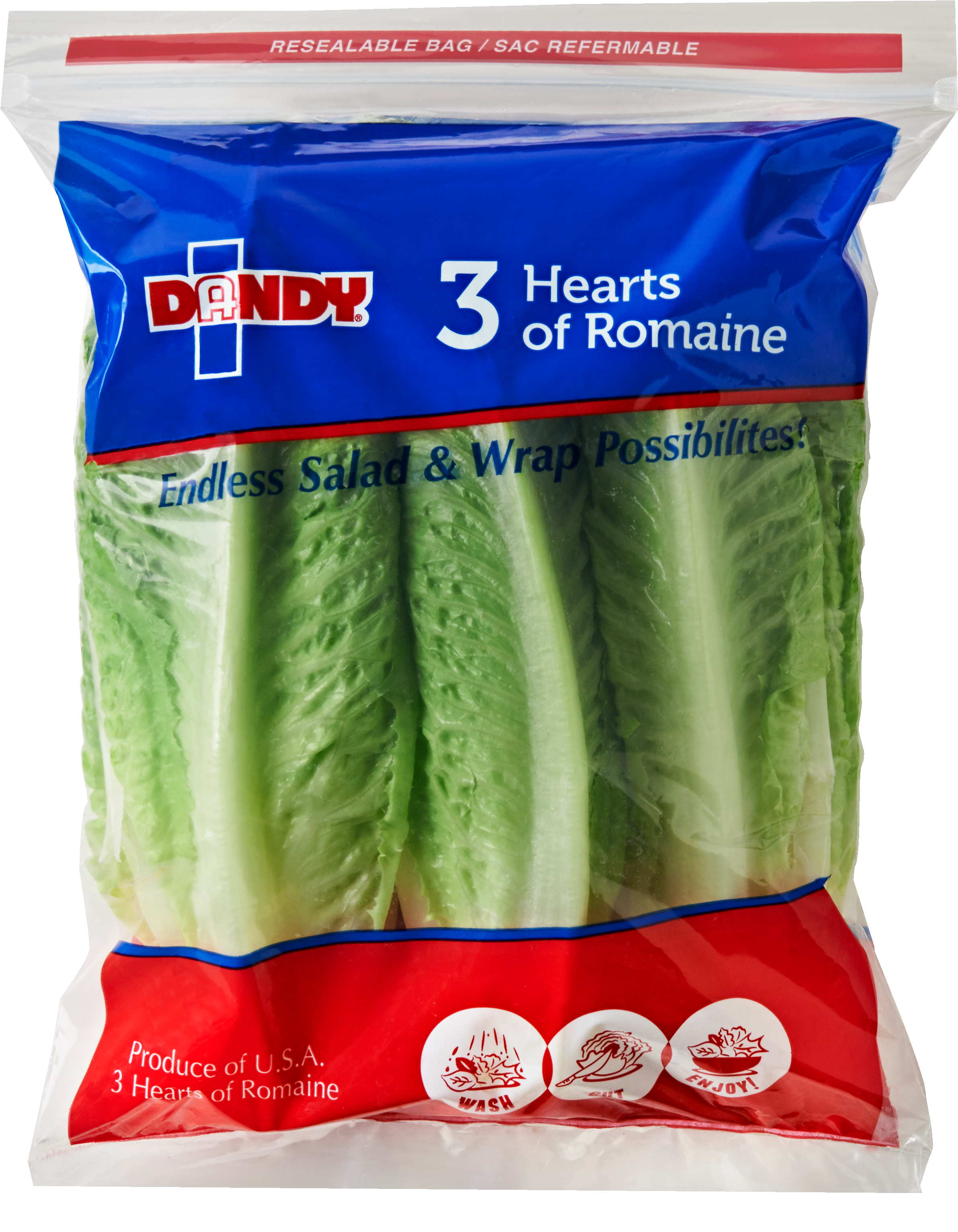 Dandy Hearts Of Romaine, HD Png Download PNG with transparent background