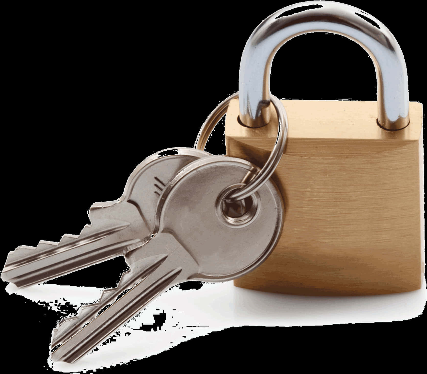 Padlockand Keys Security