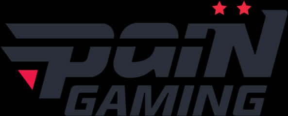 Pai N_ Gaming_ Logo