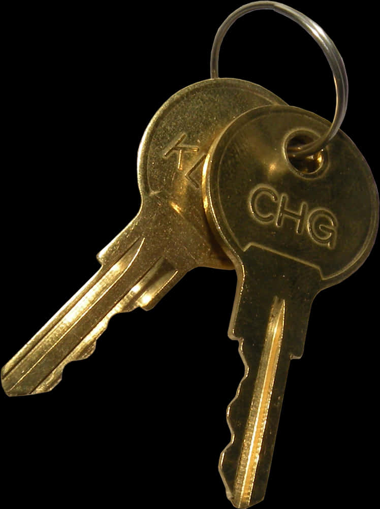 Keys In A Door Png Clip Art Royalty Free - Transparent Keys, Png Download PNG with transparent background