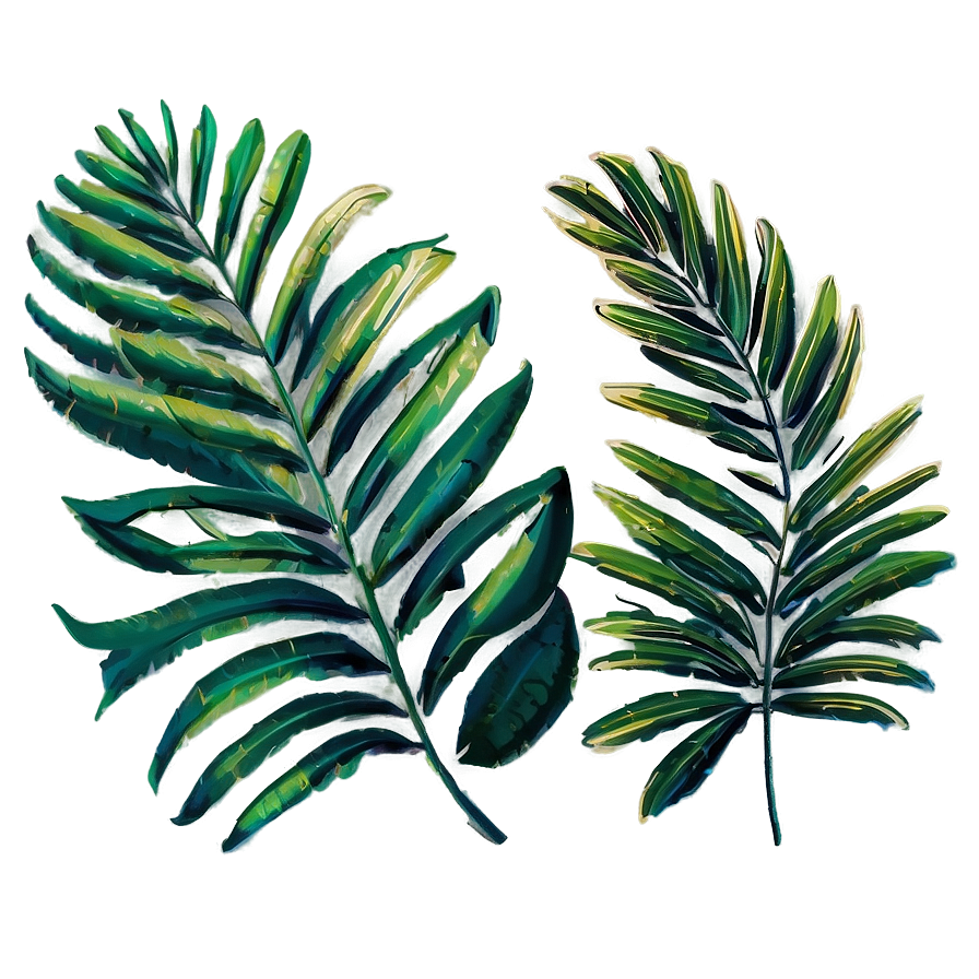 Palm Leaves Art Png Mru82