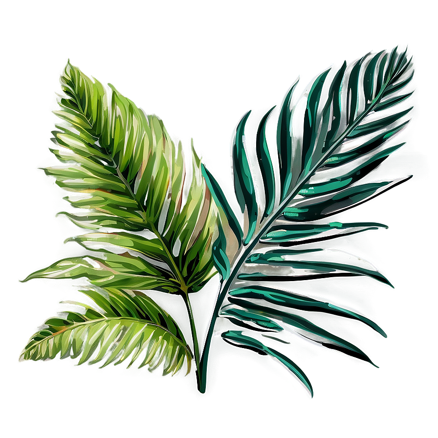 Palm Leaves Bundle Png 39