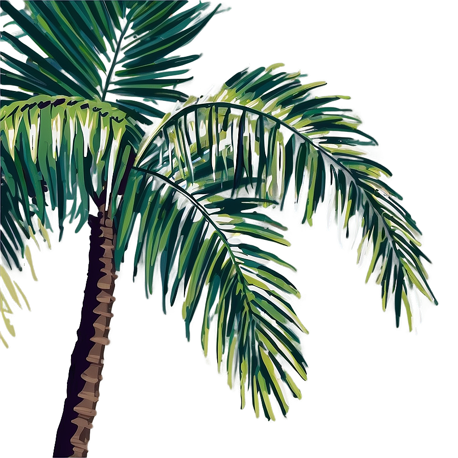 Palm Leaves Clipart Png 29