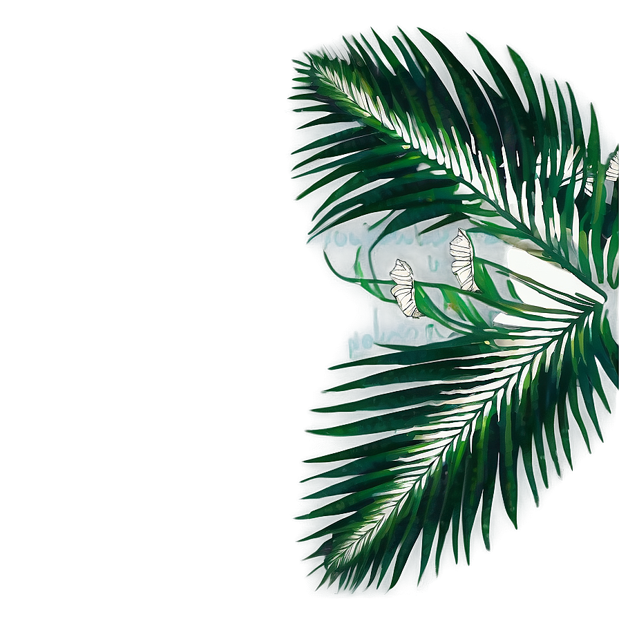 Palm Leaves Design Png 05252024