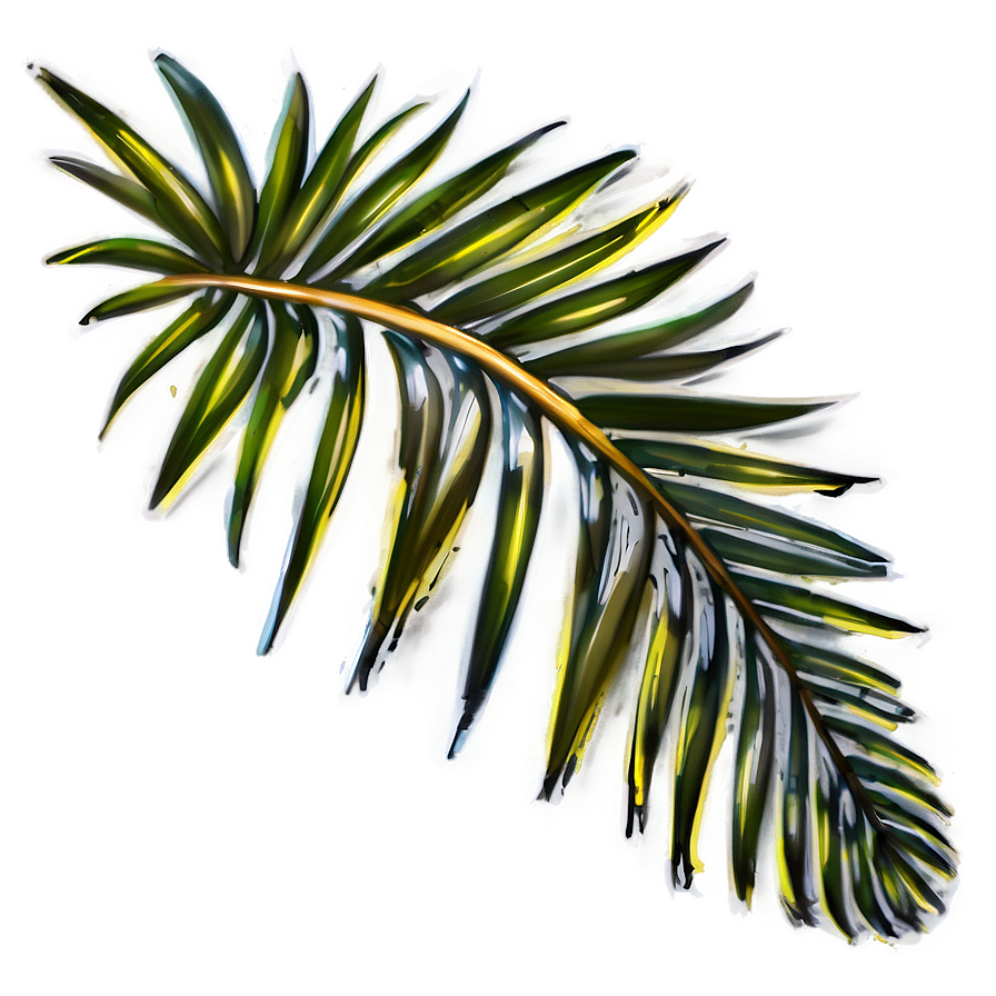 Palm Leaves Drawing Png 05252024