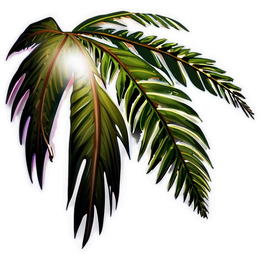 Palm Leaves Icon Png Anb