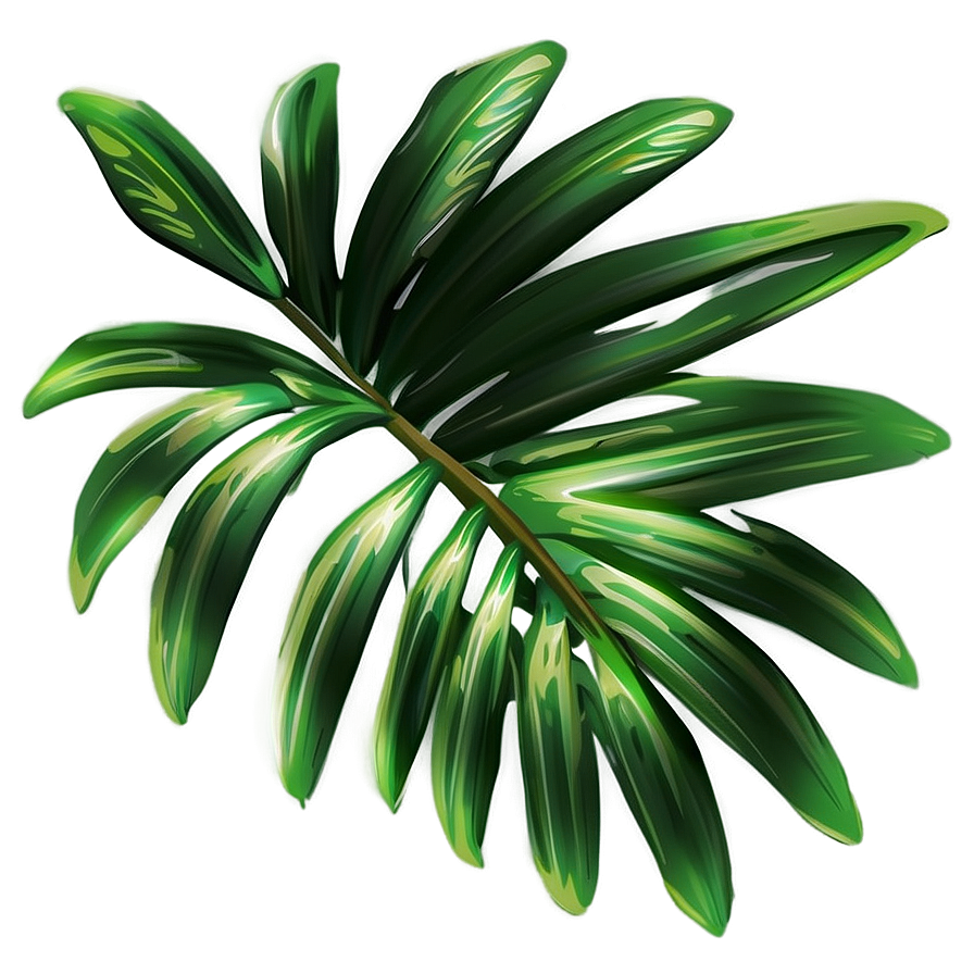 Palm Leaves Illustration Png 05252024