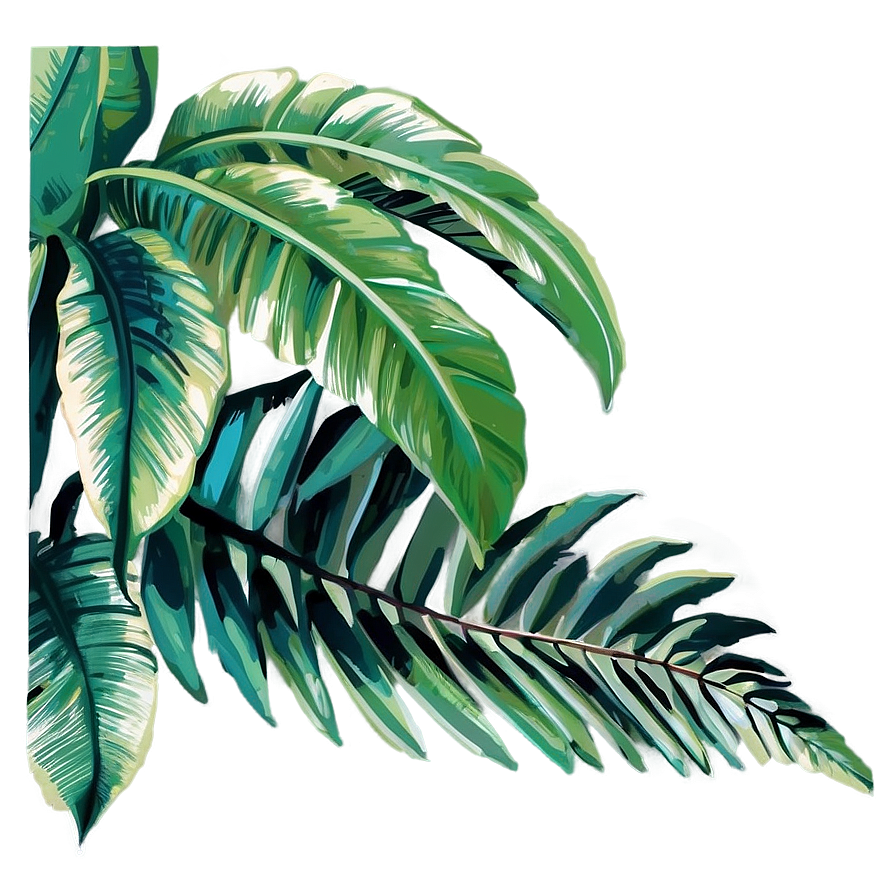 Palm Leaves Illustration Png 50